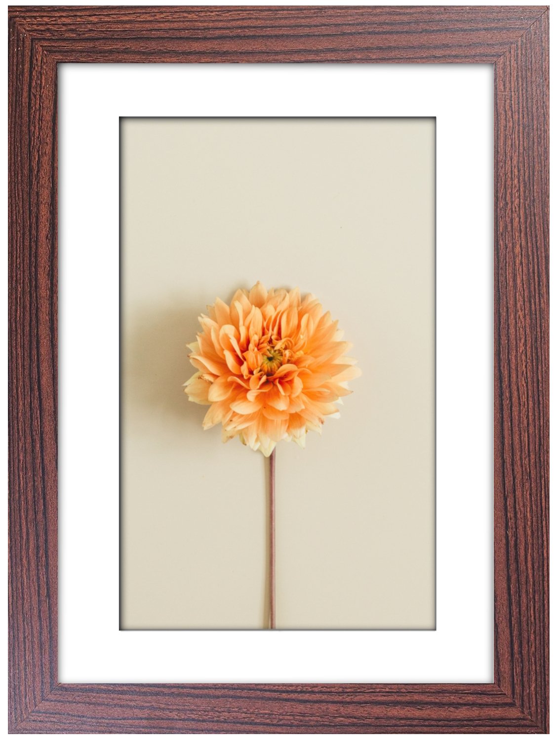 A4 Picture Frame with Card Mount, Brown, Set of 6, A4 Art Print, Certificate & Poster Photo Frame - Daily Buy