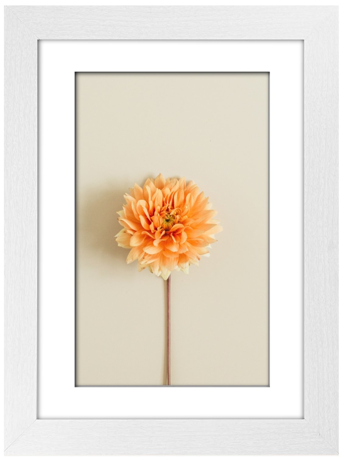 A4 Picture Frame with Card Mount, White, A4 Art Print, Certificate & Poster Photo Frame - Daily Buy