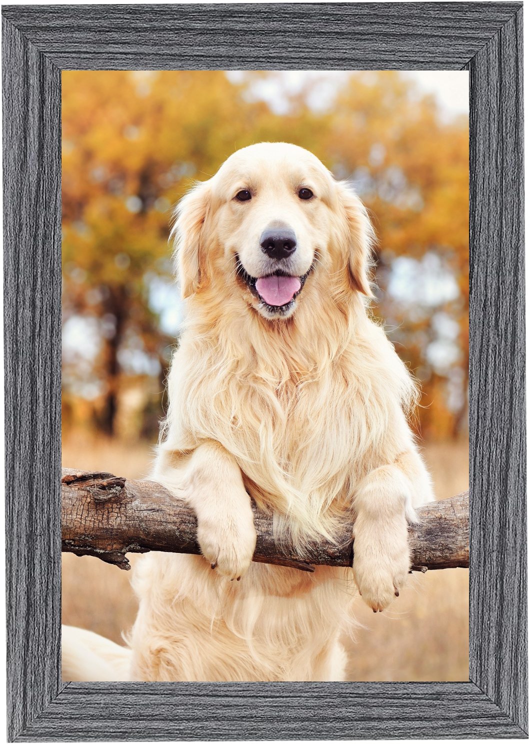 6 x 4 Picture Frame, Dark Grey, Photo Frame, 6” x 4” (15cm x 10cm) - Daily Buy