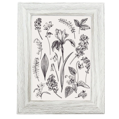 7 x 5 Picture Frame with Card Mount, Set of 3, Light Grey, Photo Frame, 7” x 5” (13cm x 18cm) - Daily Buy