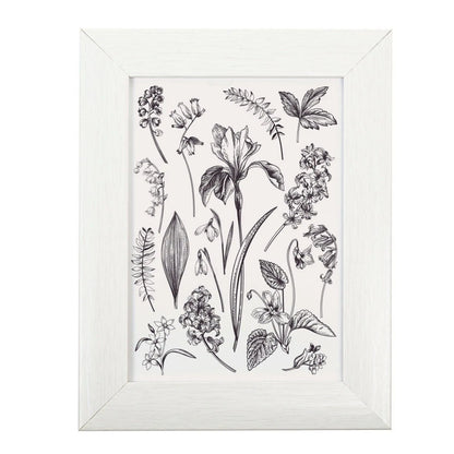 7 x 5 Picture Frame with Card Mount, Set of 3, White, Photo Frame, 7” x 5” (13cm x 18cm) - Daily Buy