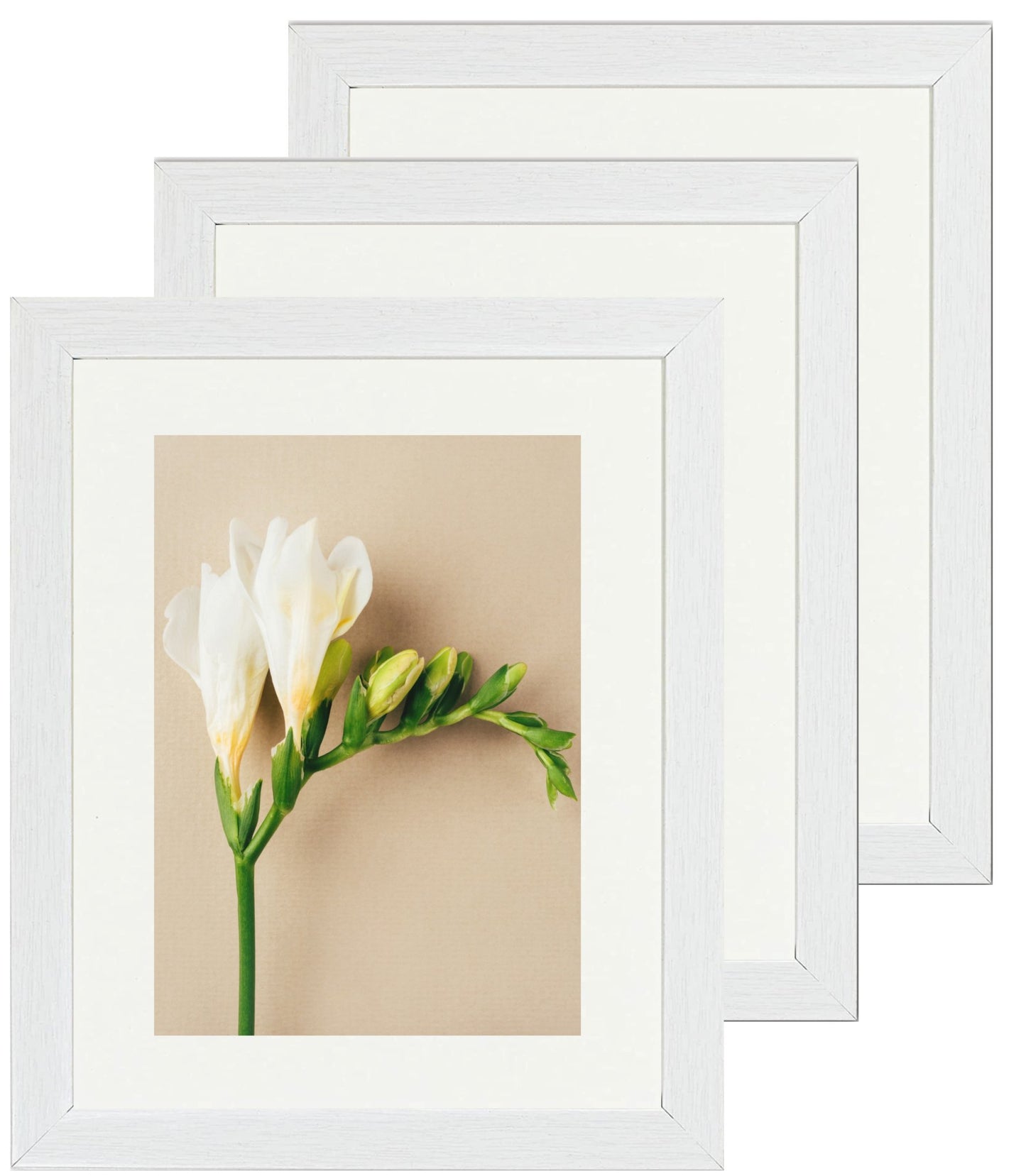 8 x 10 Picture Frame with Card Mount, Set of 3, White, Photo Frame, 8” x 10” (20cm x 25cm) - Daily Buy