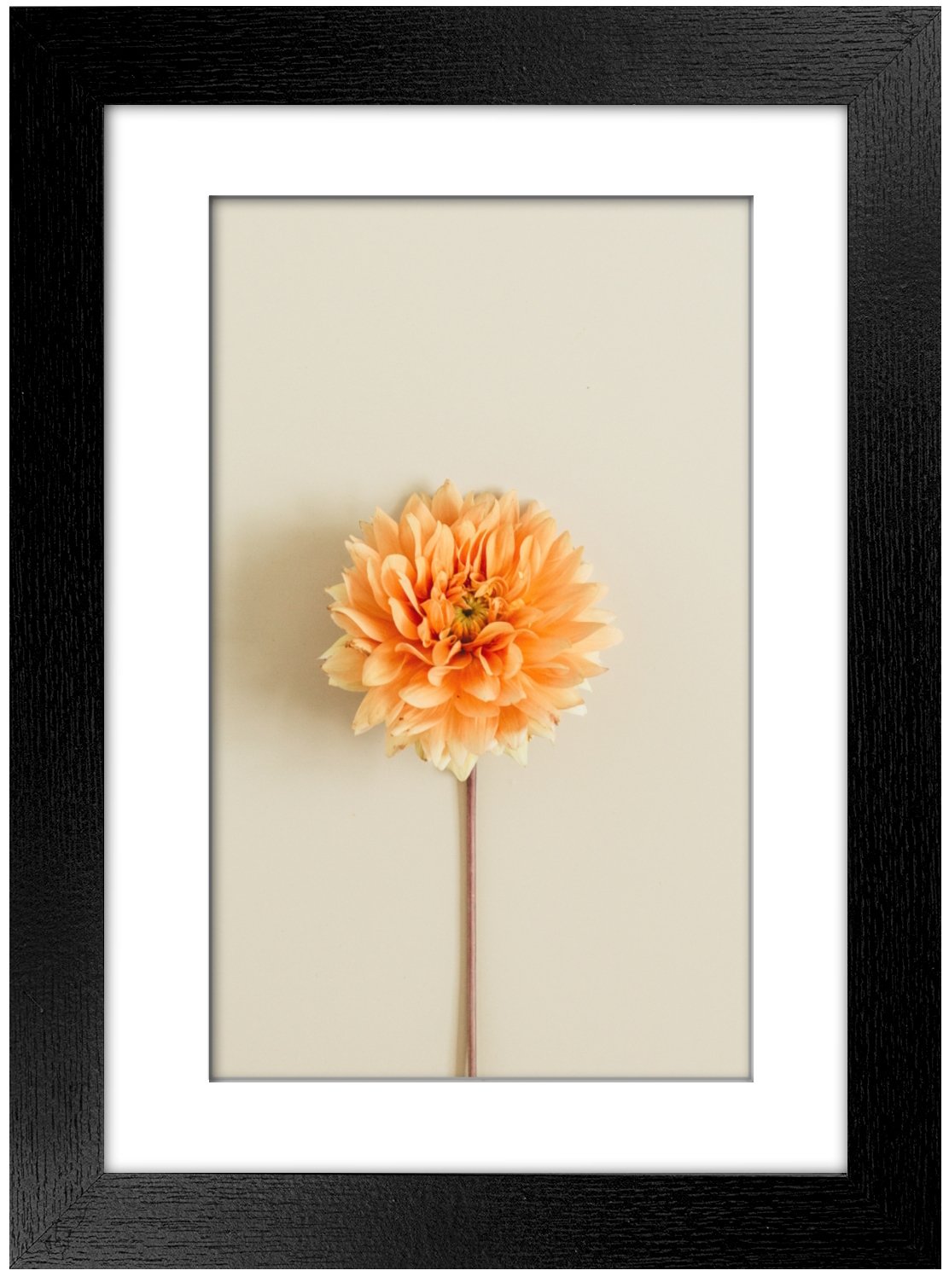 A4 Picture Frame with Card Mount, Black, Set of 6, A4 Art Print, Certificate & Poster Photo Frame - Daily Buy