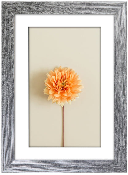 A4 Picture Frame with Card Mount, Dark Grey, A4 Art Print, Certificate & Poster Photo Frame - Daily Buy