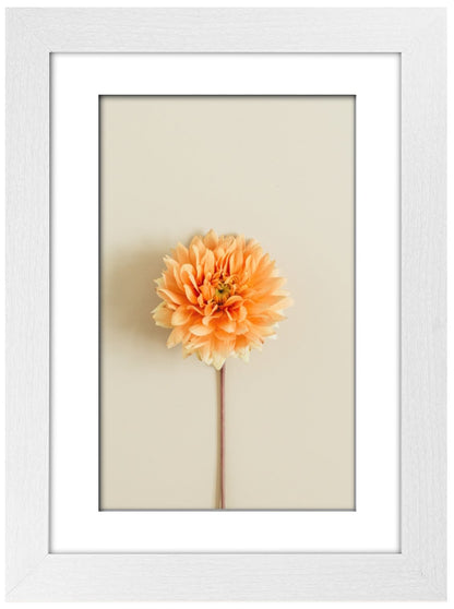 A4 Picture Frame with Card Mount, White, A4 Art Print, Certificate & Poster Photo Frame - Daily Buy